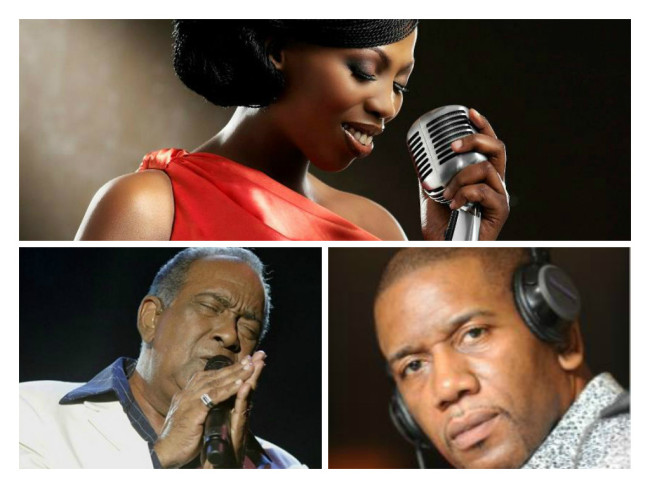 South African R&B singer Lulu Dikane, Puerto Rican Salso legend Jose 'Cheo' Feliciano and legendary UK Reggae DJ Roberto Allen died in 2014.