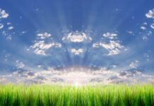 Black Ex-Pats 2.0: In the Wake of Police Brutality, Should Blacks Leave America?