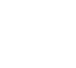 New_Burton_Wire_Logo_website