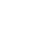 The-Burton-Wire-Logo-Large