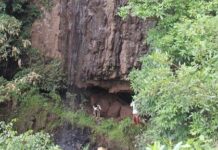 Ethiopia: Study Shows Ancient DNA from Eurasia