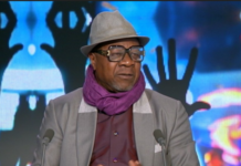 Papa Wemba: Influential Congo Music Star Dies