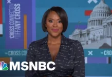 Tiffany Cross Show Canceled: Twitter Responds