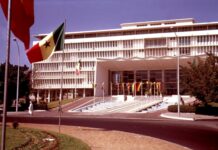 Senegal: Politician Slaps Woman Colleague in Parliament Brawl