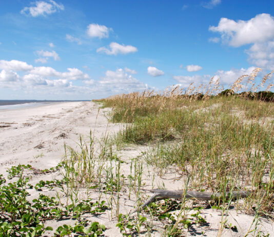 Georgia: Deadly Sapelo Island Dock Collapse Being Investigated