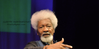 Wole Soyinka: Nigerian Nobel Laureate’s U.S. Visa Revoked